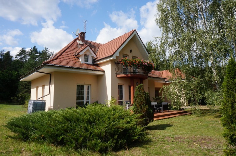 Klimatyczny dom w pobliżu lasu - 10 km od Gorzowa