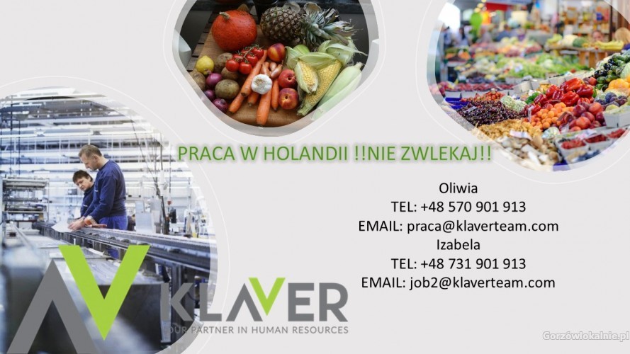 Praca od zaraz w Holandii-! różne PRACE PRODUKCYJNE!