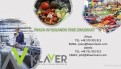 Praca od zaraz w Holandii-! różne PRACE PRODUKCYJNE! Praca od zaraz w Holandii-! różne PRACE PRODUKCYJNE!