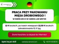 Pracownik produkcji (k/m) bez znajomości języka Zwrot kosztów dojazdu! Pracownik produkcji (k/m) bez znajomości języka Zwrot kosztów dojazdu!