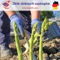 Zbiór zielonych szparagów - Niemcy Zbiór zielonych szparagów - Niemcy