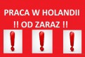 Holandia – Praca od zaraz! Holandia – Praca od zaraz!