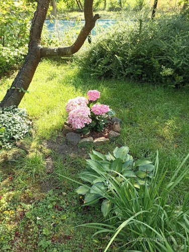 sprzedam-dzialke-rod-w-gorzowie-wlkp-58382-gorzow-wielkopolski.jpg