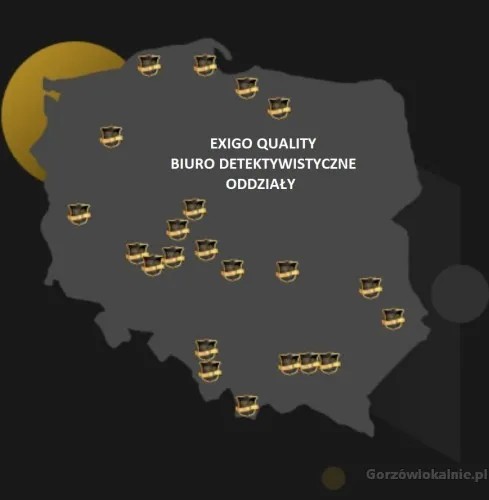 detektyw-64246-sprzedam.webp