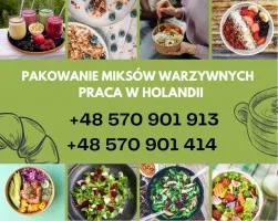 Pakowanie Miksów Warzywnych - Praca w Holandii Pakowanie Miksów Warzywnych - Praca w Holandii