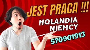 Operator wózka widłowego- praca w Holandii Operator wózka widłowego- praca w Holandii