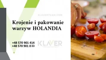 Praca na produkcji w Holandii- bez języka, wysokie wynagrodzenie Praca na produkcji w Holandii- bez języka, wysokie wynagrodzenie