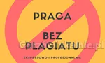 Zawodowe Pisanie i Redagowanie Prac
