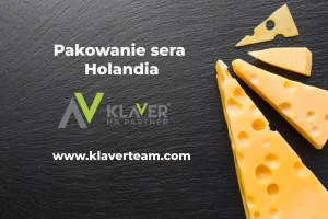 Praca w Holandii- Pracownik produkcji pakowania sera Praca w Holandii- Pracownik produkcji pakowania sera