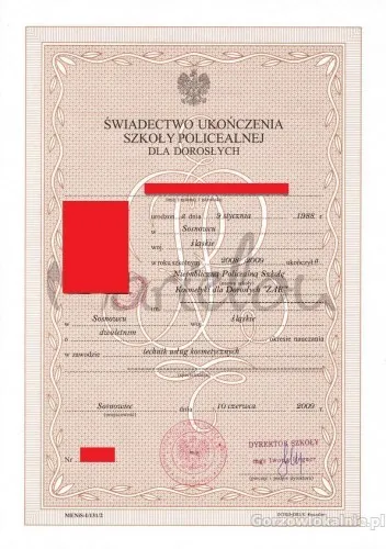 Legalna matura, Średnie z wpisem, Matura z wpisem OKE, CKE, KReM