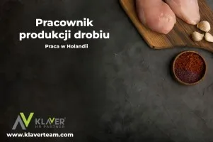 Praca za granicą- Pracownik produkcji drobiu- praca od zaraz! Praca za granicą- Pracownik produkcji drobiu- praca od zaraz!