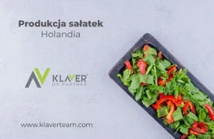 Praca w Holandii - Produkcja Sałatek - od zaraz! Praca w Holandii - Produkcja Sałatek - od zaraz!