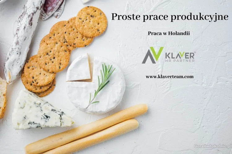 Oferty pracy na stanowiskach produkcyjnych w Holandii
