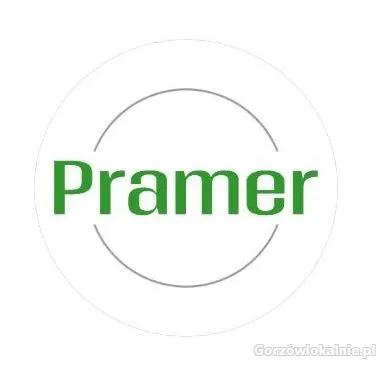 Pracownik produkcji dywanów - praca w Holandii