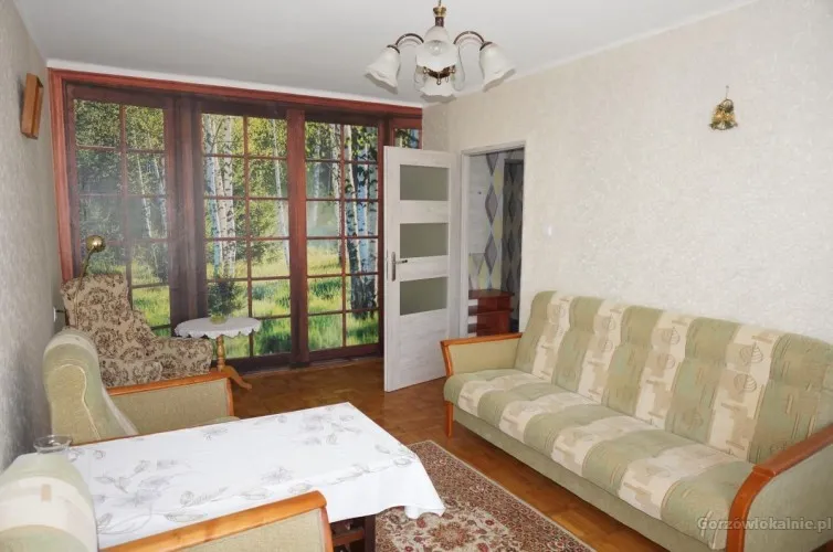 Mieszkanie 2 pok 50mkw na 1 piętrze w bloku - CENTRUM