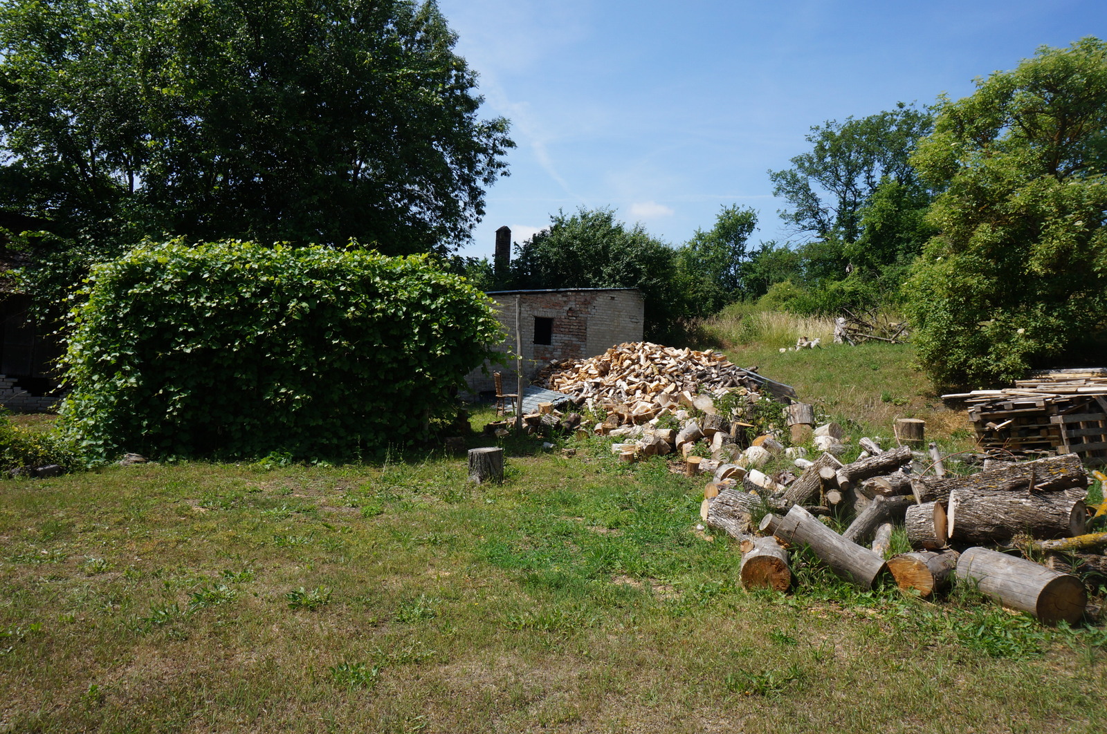 5_DSC00355.JPG