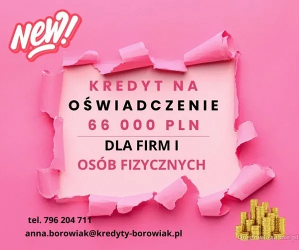 KREDYT DLA FIRM I OSÓB FIZYCZNYCH NA OŚWIADCZENIE DO 66 000 ZŁ!