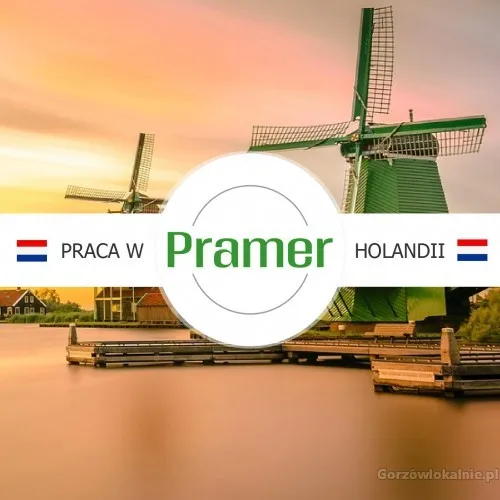 Pracownik produkcji pieczarek - praca w Holandii