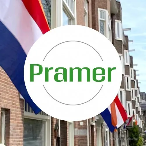 Pracownik zbioru i pakowania pieczarek Holandia